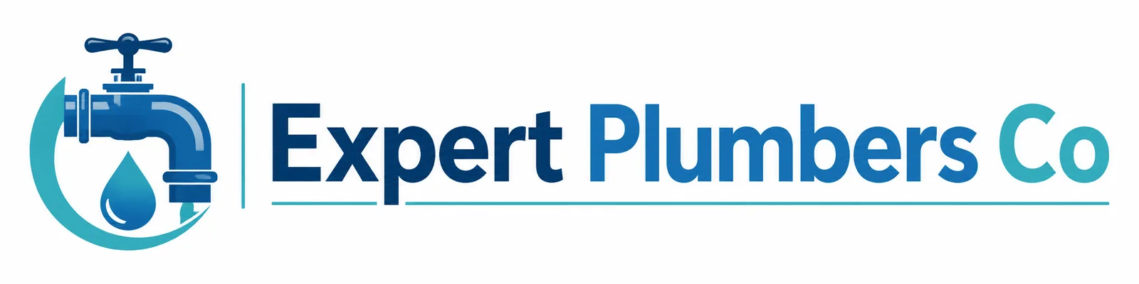 Expert Plumbers Co